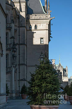 Dale Powell - Pine Scent - Biltmore Estate Dale Powell - Pine Scent - Biltmore Estate