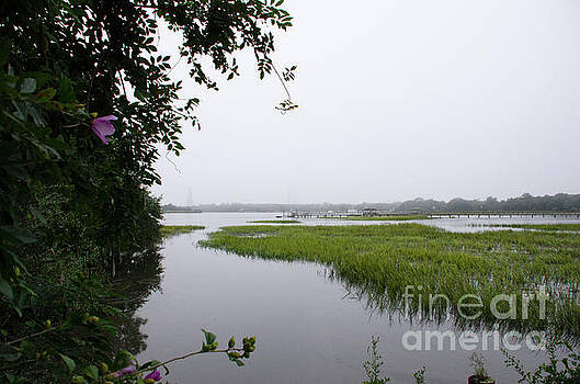 Dale Powell - Sea Fog - Charleston Dale Powell - Sea Fog - Charleston