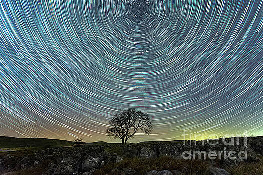 Mariusz Talarek - Star trails at the lonely tree on the limestone pavement Mariusz Talarek - Star trails at the lonely tree on the limestone pavement