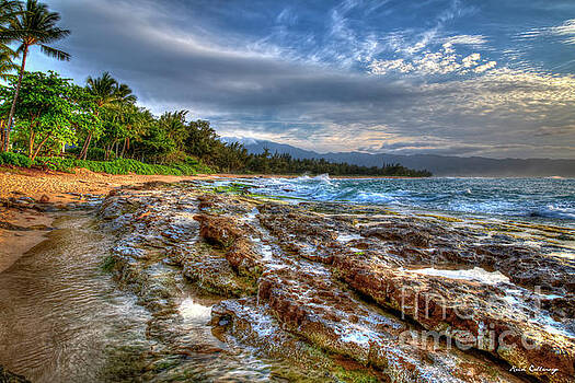 Reid Callaway Artwork Collection By The Sea