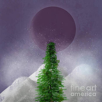 Benjamin Harte - The Purple Moon Benjamin Harte - The Purple Moon