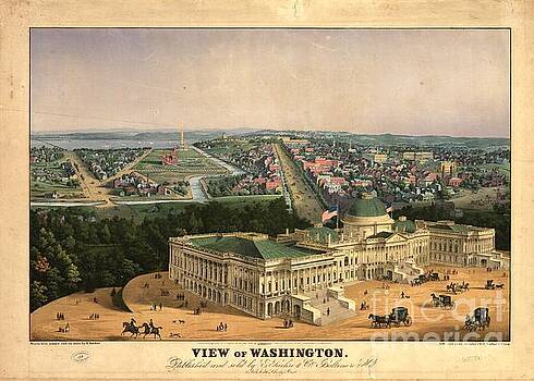 Flavia Westerwelle - View of Washington Flavia Westerwelle - View of Washington
