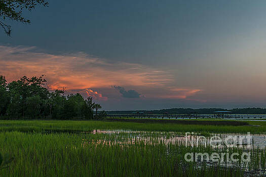 Dale Powell - Wando River Marsh Magic Dale Powell - Wando River Marsh Magic