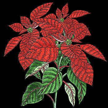 Irina Sztukowski - Watercolor Flower Red Poinsettia Plant Irina Sztukowski - Watercolor Flower Red Poinsettia Plant