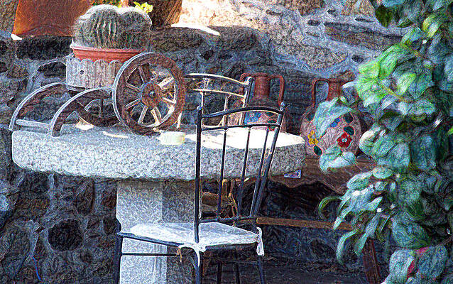  Photograph - Cacti Still Life by Dave Byrne