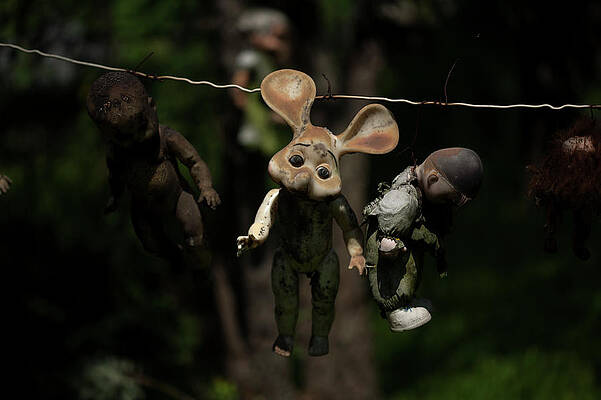Wall Art - Photograph - A Doll Hangs On A Tree On The Island #1 by Chico Sanchez