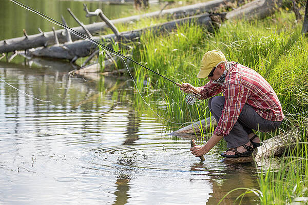 Wall Art - Photograph - A Fisherman Releases A Trout In A High #1 by Jess McGlothlin Media