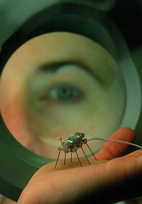 Wall Art - Photograph - A Robot 'gnat' At The Mit Robotics Lab. #1 by Science Photo Library