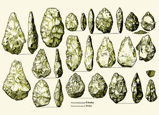 Wall Art - Photograph - Acheulean Hand-axes, Lower Paleolithic #1 by Science Source