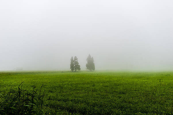 Wall Art - Photograph - Alone #1 by Joseph Amaral