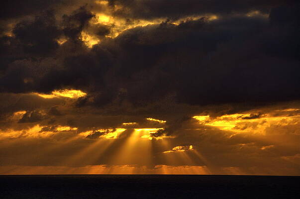 Amazon Sunset by K C Lynch Amazon Sunset by K C Lynch
