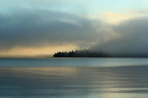 Wall Art - Photograph - An Island in Fog by E Faithe Lester