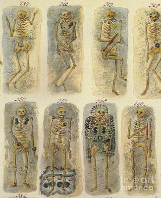 Wall Art - Photograph - Ancient Celtic Cemetery, Hallstatt #2 by Science Source