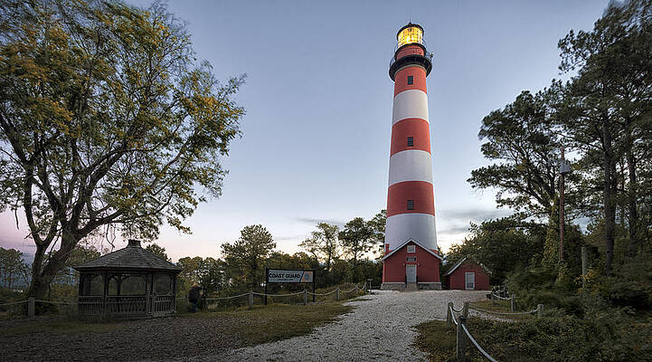 Wall Art - Photograph - Assateague Lighthouse #1 by Robert Fawcett