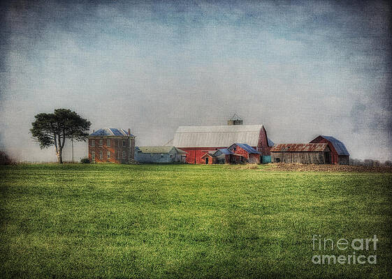 Aunt Flossie's Farm by Pamela Baker Aunt Flossie's Farm by Pamela Baker
