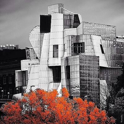 Wall Art - Photograph - Autumn At The Weisman #1 by Matthew Blum