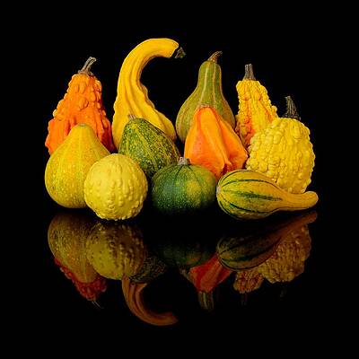 1-autumn-harvest-gourds-jim-hughes.jpg