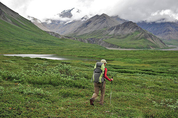 Wall Art - Photograph - Backpacking Denali National Park #1 by HagePhoto
