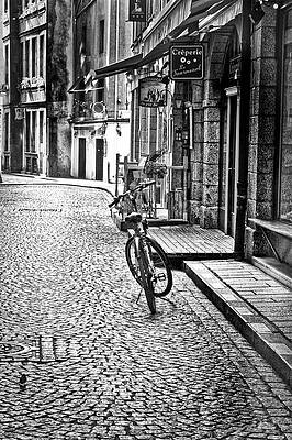 Bicycle and Sparrow 2 by Elf EVANS Bicycle and Sparrow 2 by Elf EVANS