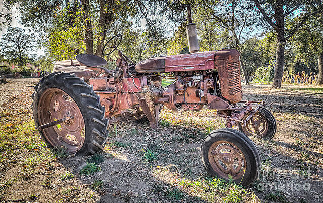 Big Red by Charles Garcia Big Red by Charles Garcia