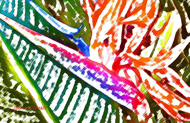 Bird of Paradise Painted by James Temple Bird of Paradise Painted by James Temple