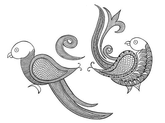 Wall Art - Drawing - Bird Parrots by MGL Meiklejohn Graphics Licensing