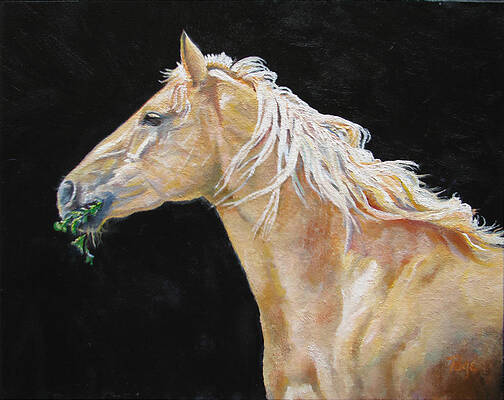 Blondy by Page Holland Blondy by Page Holland