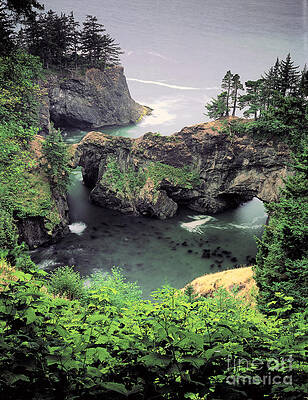 Wall Art - Photograph - Boardman State Park, Oregon #1 by George Ranalli