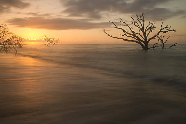 Botany Bay Beach by Doug McPherson Botany Bay Beach by Doug McPherson