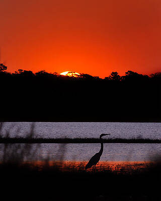 Break of Day by Adele Moscaritolo Break of Day by Adele Moscaritolo
