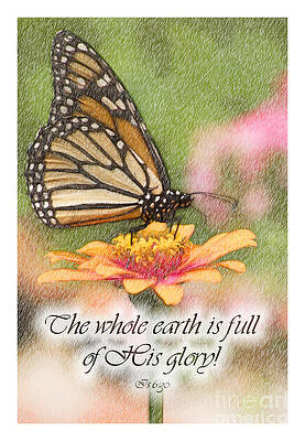 Wall Art - Digital Art - Butterfly Scripture #1 by Jill Lang