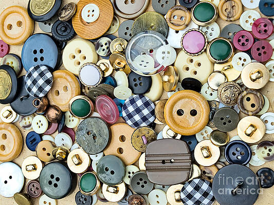 Wall Art - Photograph - Buttons #1 by Sinisa Botas