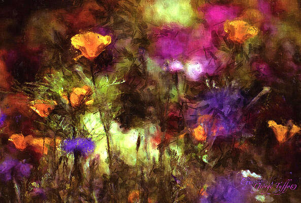 California poppies by George Tuffy California poppies by George Tuffy