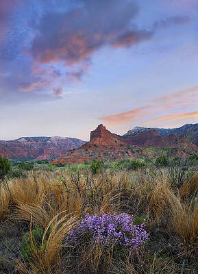 Wall Art - Photograph - Caprock Canyons State Park Texas #1 by Tim Fitzharris