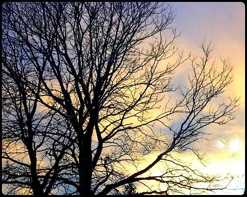 Change of Perspective by Misty Herrick