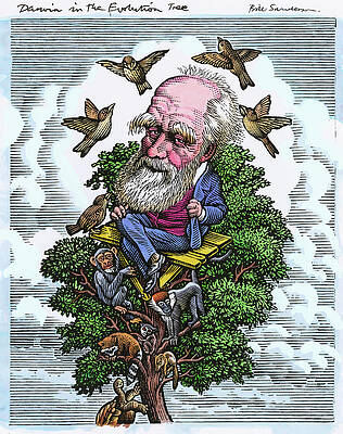 Wall Art - Photograph - Charles Darwin In His Evolutionary Tree #1 by Science Photo Library