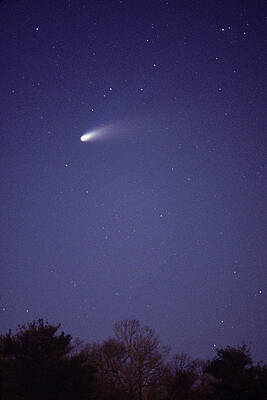 Wall Art - Photograph - Comet Hale-bopp #1 by John W. Bova
