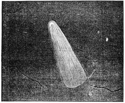 Wall Art - Photograph - Comet Observation #1 by Science Photo Library