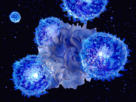 Wall Art - Photograph - Dendritic Cell Presenting An Antigen #1 by Juan Gaertner