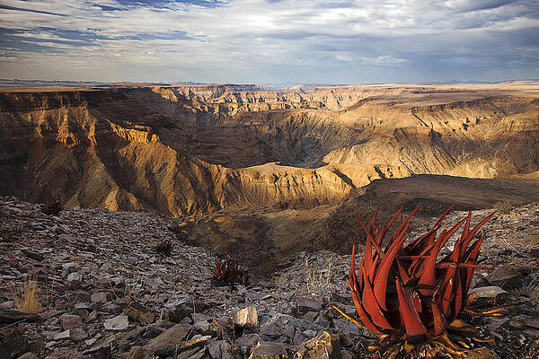 Wall Art - Photograph - Desert And Fish River Canyon Namibia #1 by Vincent Grafhorst