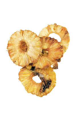 Wall Art - Photograph - Dried Pineapple Rings #1 by Science Photo Library