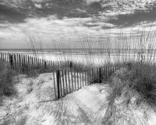 Wall Art - Photograph - Dune Fences #1 by Debra and Dave Vanderlaan