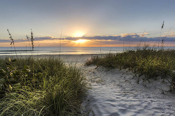 Wall Art - Photograph - Dune Trail #1 by Debra and Dave Vanderlaan