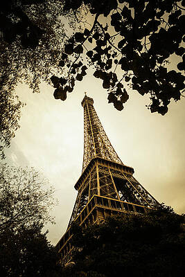 Wall Art - Photograph - Eiffel Tower #1 by Ron Koeberer