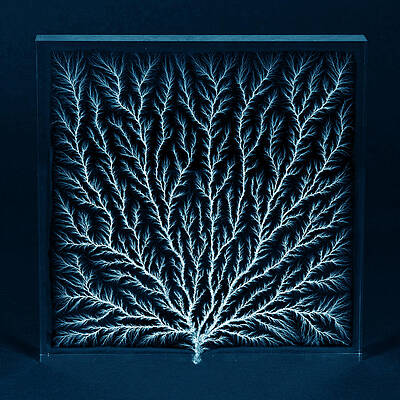 Wall Art - Photograph - Electron Tree Or Lichtenberg Figure #1 by Science Source