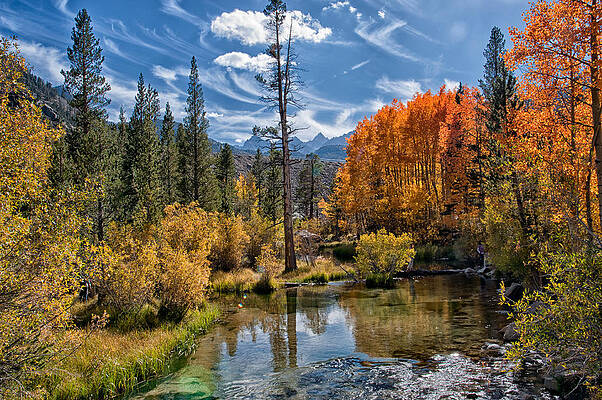 Fall at Bishop Creek by Cat Connor Fall at Bishop Creek by Cat Connor