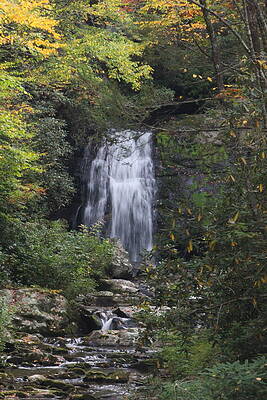Fall in the Smokies by Cynthia Mask Fall in the Smokies by Cynthia Mask