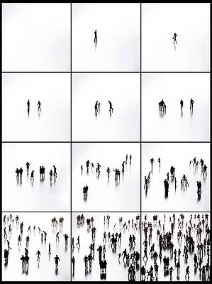 Wall Art - Photograph - Fibonacci Propagation #1 by Science Photo Library