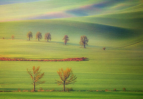 Wall Art - Photograph - Fields #1 by Krzysztof Browko