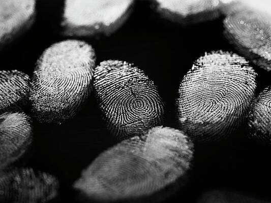 Wall Art - Photograph - Finger Prints #1 by Science Photo Library